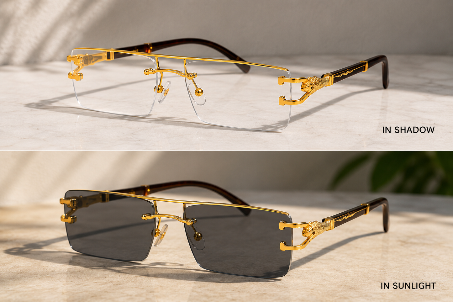 Cheetah magic glasses 🕶️